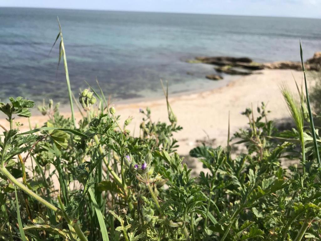 Black Sea Wellnest Aheloy Εξωτερικό φωτογραφία